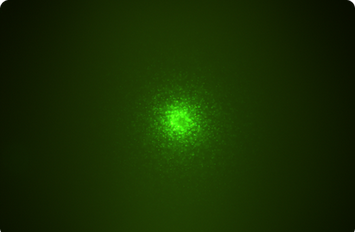Fluorescence image of an antibody secreting hybridoma colony