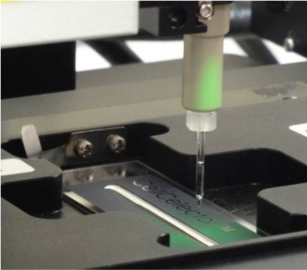 Single cell tool on slide for immuno-magnetic isolation of rare single cells
