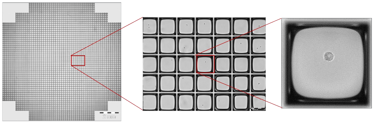 200 µm nanowell - different zoom levels