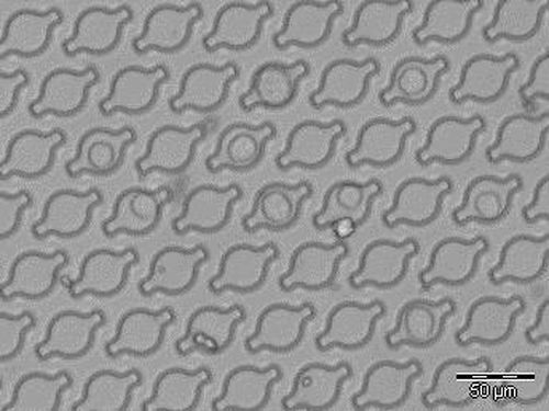 U25 Ufo-shape nanowell array
