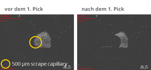 Vorher/Nachher-Bilder des ersten Picks zur Erzeugung von Replikaplatten