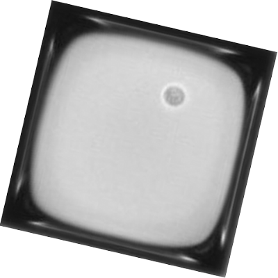 Nanowell mit einer Einzelzelle