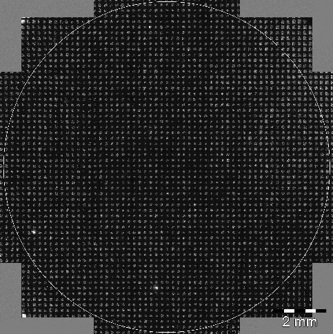 Übersicht: Nanowells nach der Zellbeladung Übersicht: Nanowells nach der Zellbeladung