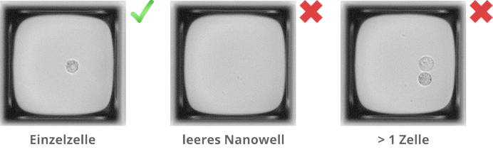 Bewertung der Monoklonalität: Nachweis von Einzelzellen in Nanowellen Bewertung der Monoklonalität: Nachweis von Einzelzellen in Nanowellen