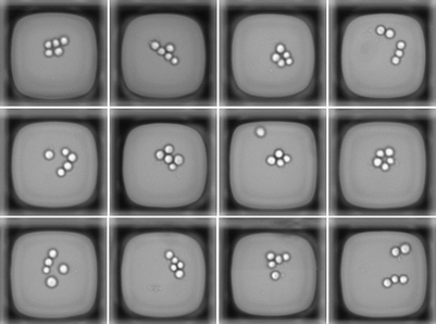 Isolierung einer definierten Zellzahl - Auswahl von Sets mit 5 Zellen