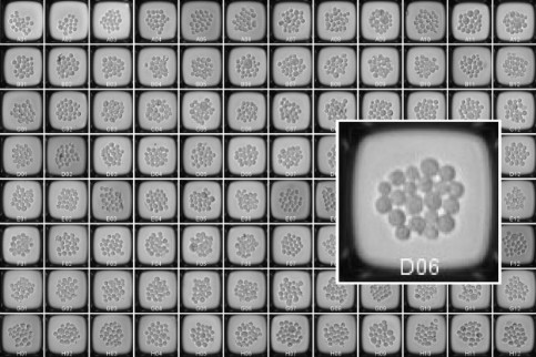Galerie mit Bildern der Nanowells vor dem Picken im Zielplatten-Layout Galerie mit Bildern der Nanowells vor dem Picken im Zielplatten-Layout