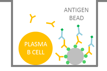 Antigen specific bead assay Antigen specific bead assay