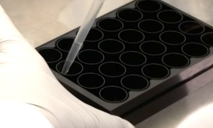 Pipettieren der Probe in die Nanowellplatte Pipettieren der Probe in die Nanowellplatte