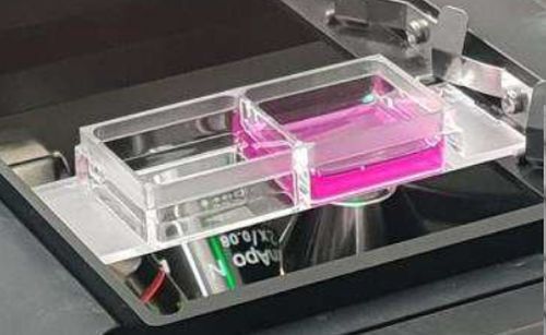 Nanowellobjektträger Nanowellobjektträger