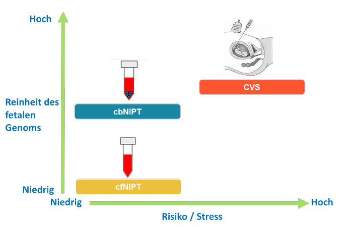 Prenataldiagnostik Vergleich NIPD mit invasiven Methoden
