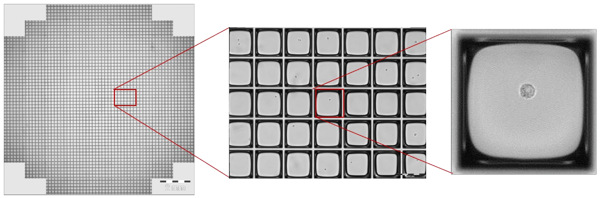 200 µm Nanowell - verschiedene Vergrößerungen