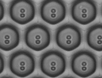 Nanowellstruktur der Sievewell Chips