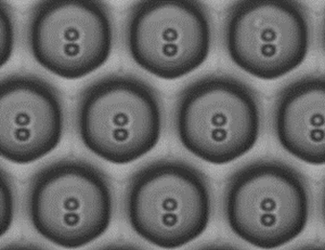Nanowellstruktur der Sievewell Chips Nanowellstruktur der Sievewell Chips