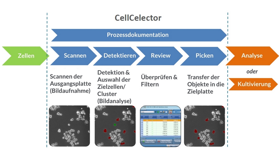 Allgemeiner Arbeitsablauf des CellCelector