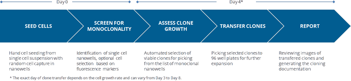 Nanowell-based single cell cloning workflow