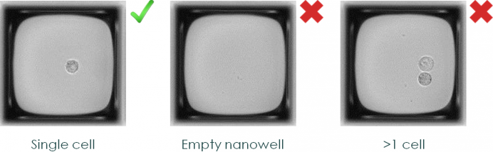 Monoclonality assessment: single cell detection in nanowells