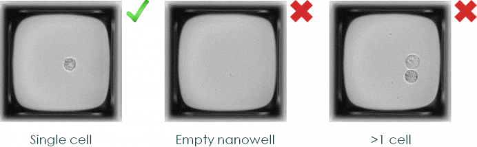 Monoclonality assessment: single cell detection in nanowells Monoclonality assessment: single cell detection in nanowells
