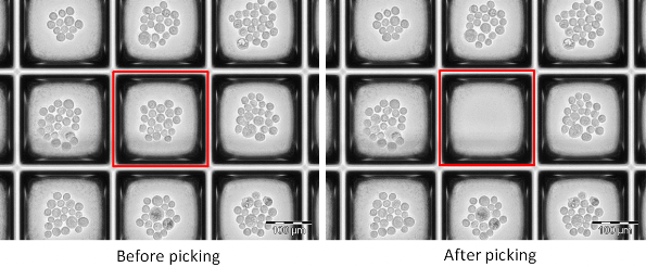 Before and after cell recovery from nanowell plate