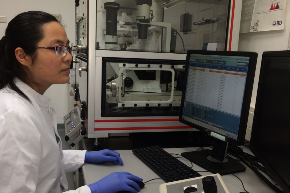 CellCelelctor single cell isolation services CellCelelctor single cell isolation services