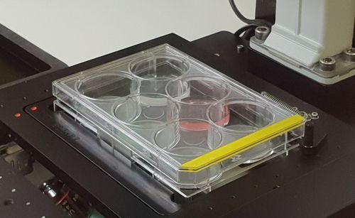 6well nanowell plate 6well nanowell plate