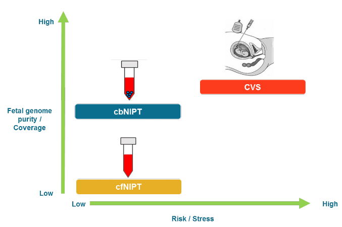 Prenatal diagnostics - comparison of CVS vs cffNIPT vs cbNIPT