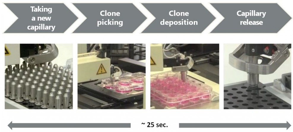 scrape picking workflow