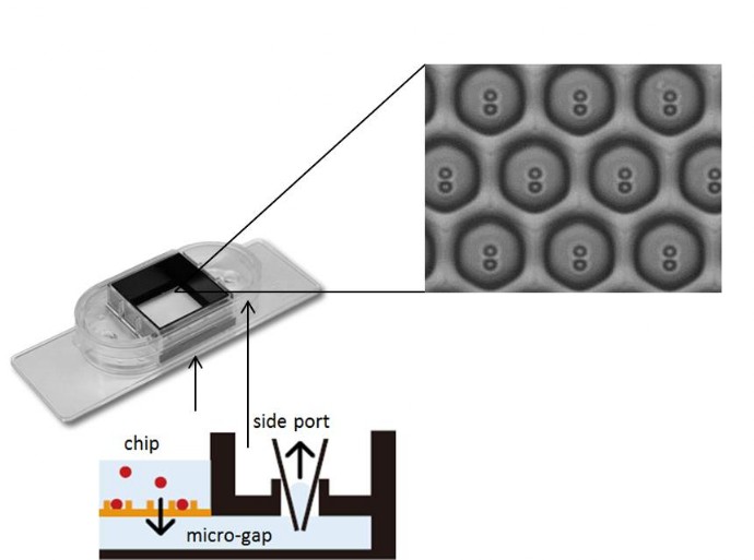 Sievewell arrays for single cell isolation Sievewell arrays for single cell isolation