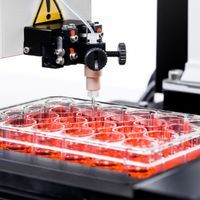 Single cell module in 24 well plate Single cell module in 24 well plate
