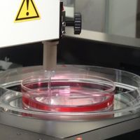 Single cell module in petri dish Single cell module in petri dish
