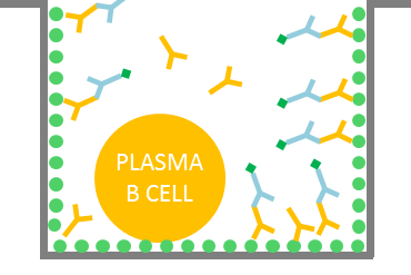 Antigen specificity assay with plate capture coating