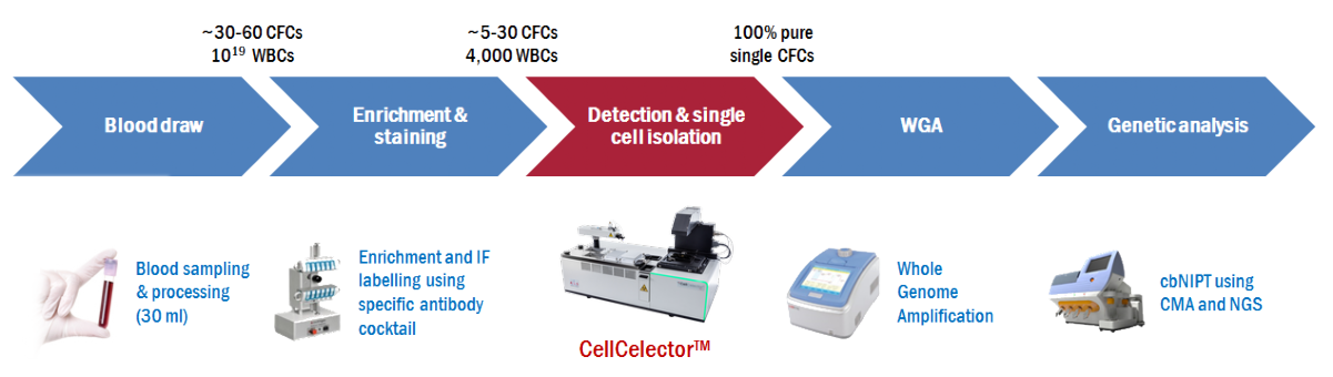 Workflow for isolation of single fetal cells from maternal blood with ALS CellCelector