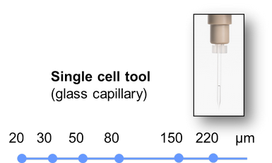 single cell tool for picking of single stem cells