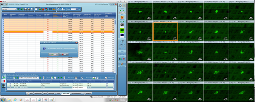 CellCelector software CellCelector software